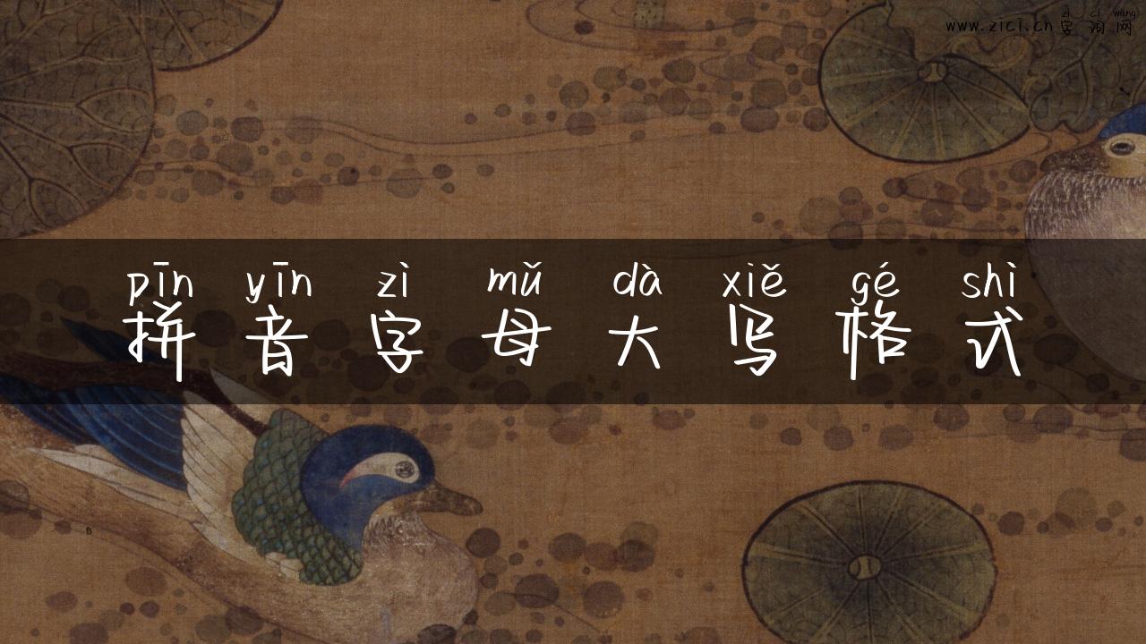 拼音字母大写格式