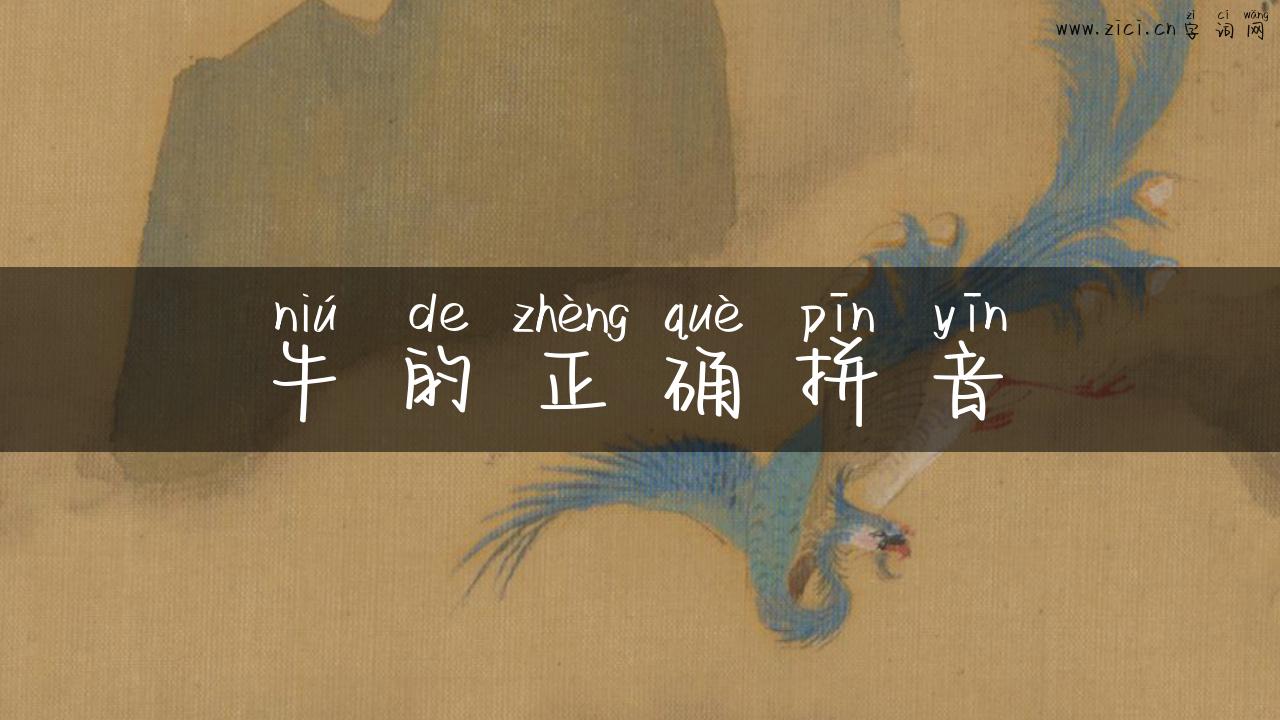 牛的正确拼音