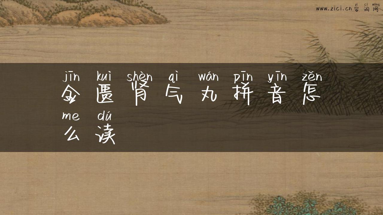 金匮肾气丸拼音怎么读