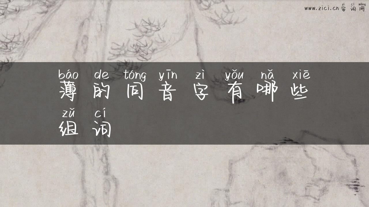薄的同音字有哪些组词