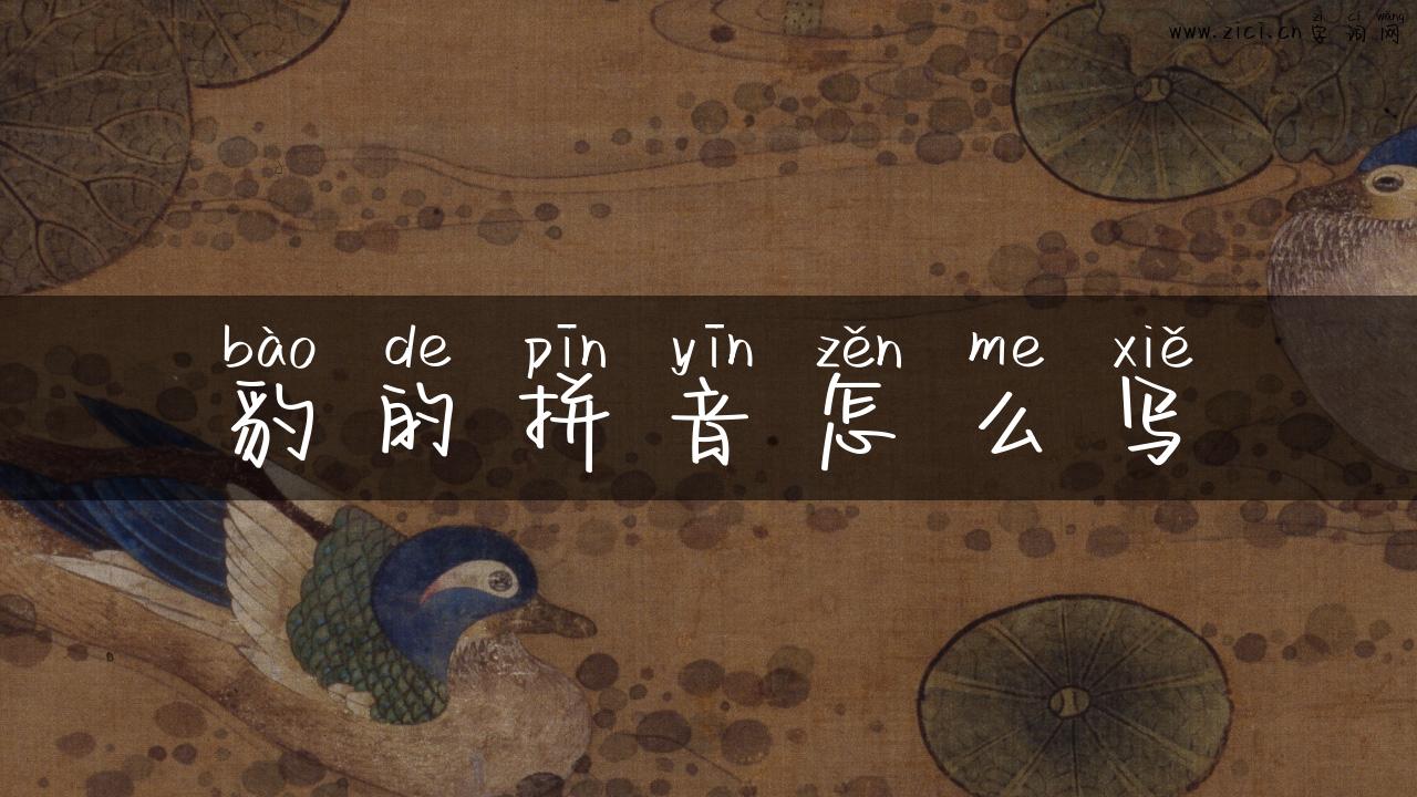 豹的拼音怎么写