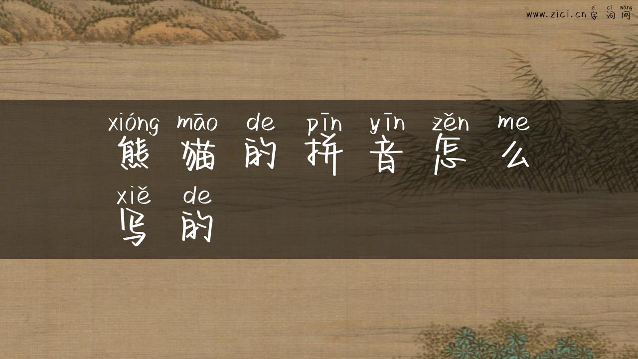 熊猫的拼音怎么写的