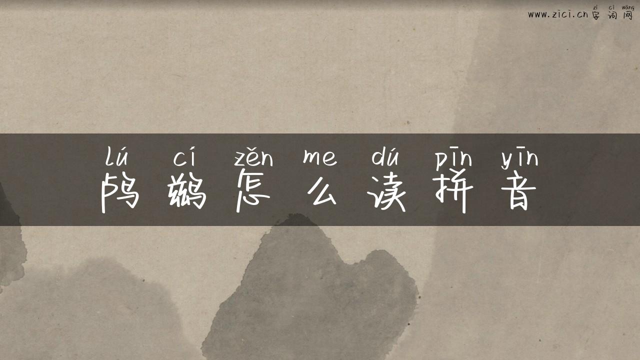 鸬鹚怎么读拼音