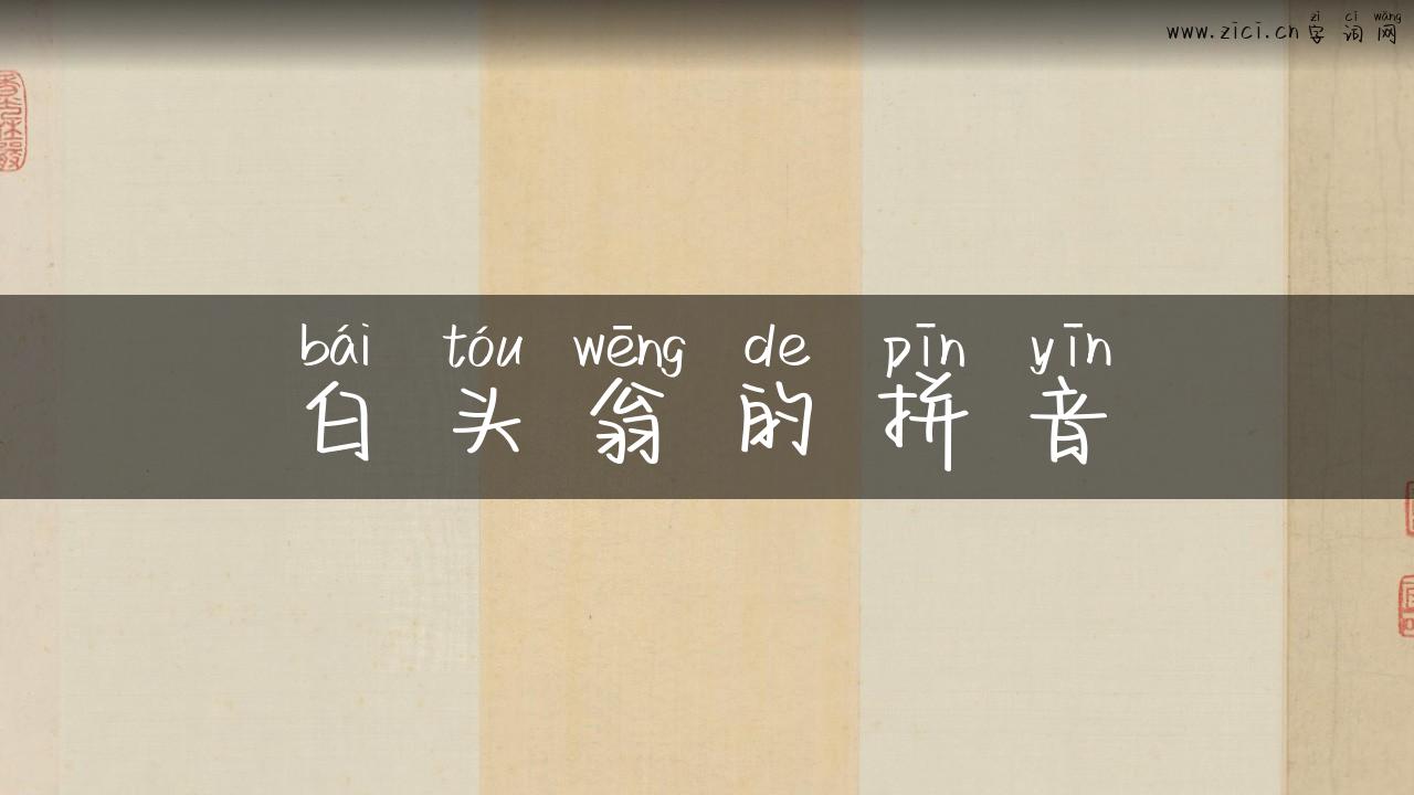 白头翁的拼音