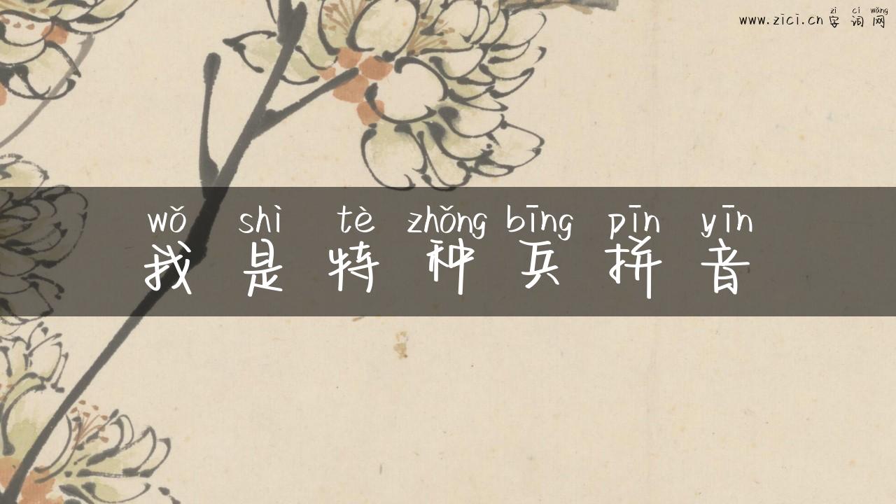 我是特种兵拼音