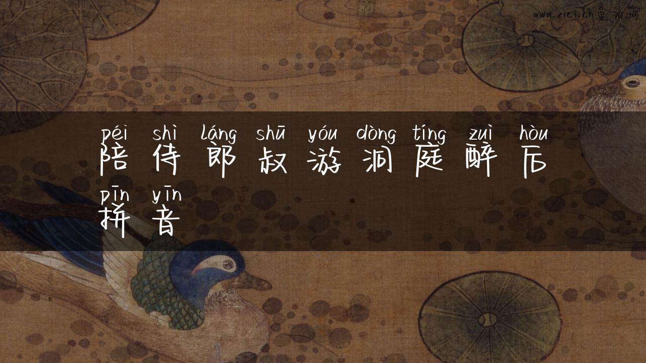 陪侍郎叔游洞庭醉后拼音