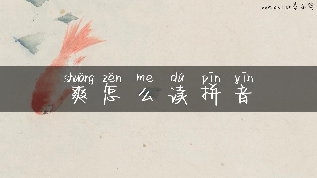 爽怎么读拼音