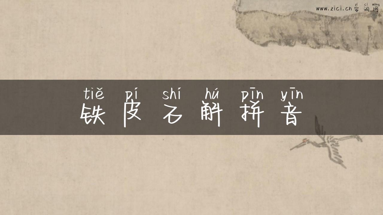铁皮石斛拼音