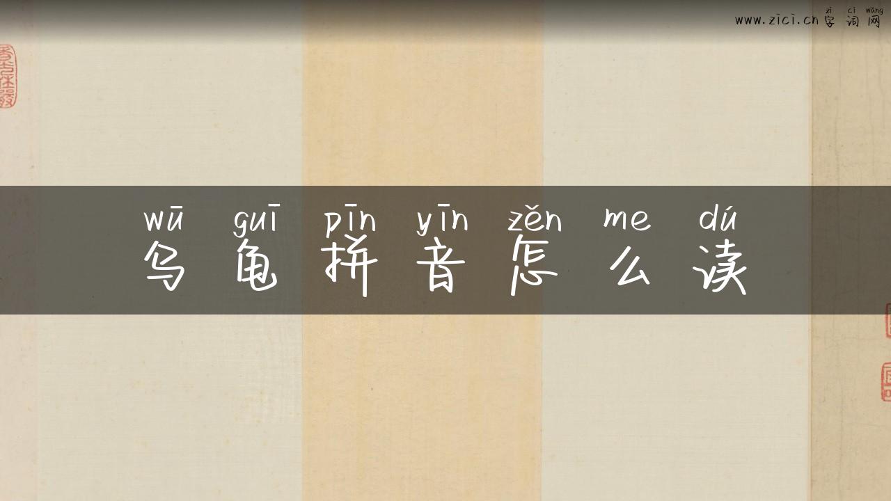 乌龟拼音怎么读
