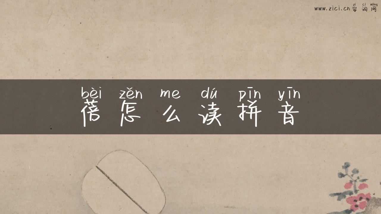 蓓怎么读拼音