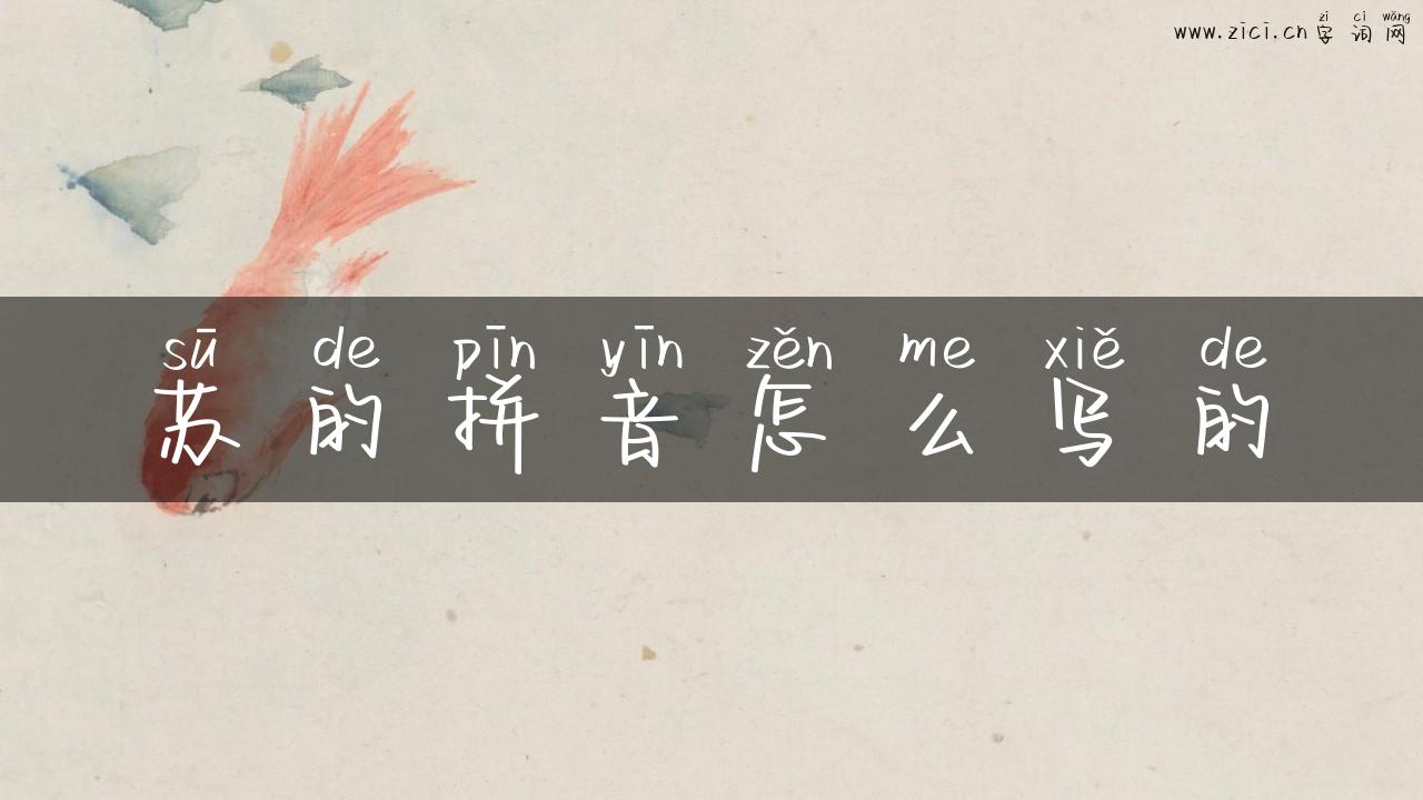 苏的拼音怎么写的