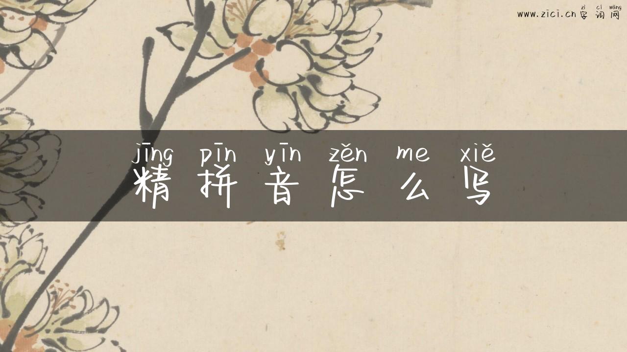 精拼音怎么写
