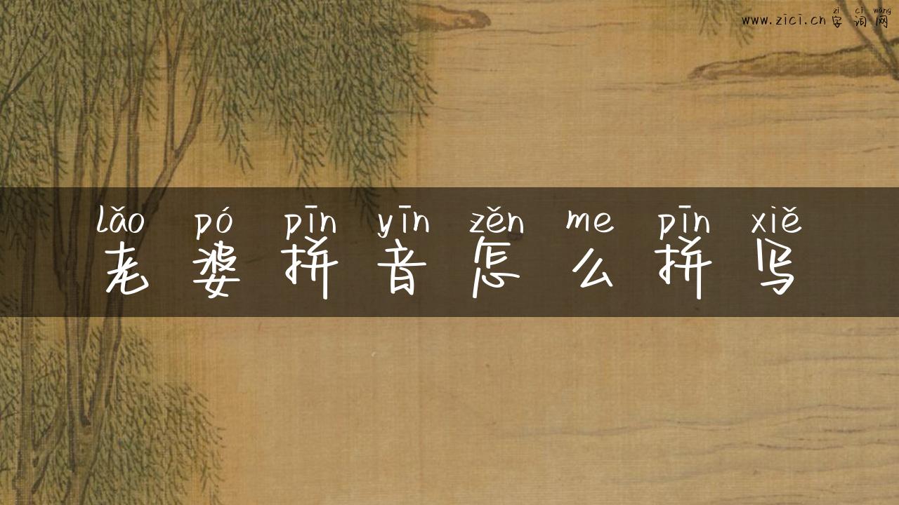 老婆拼音怎么拼写