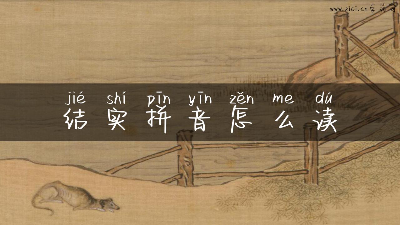 结实拼音怎么读