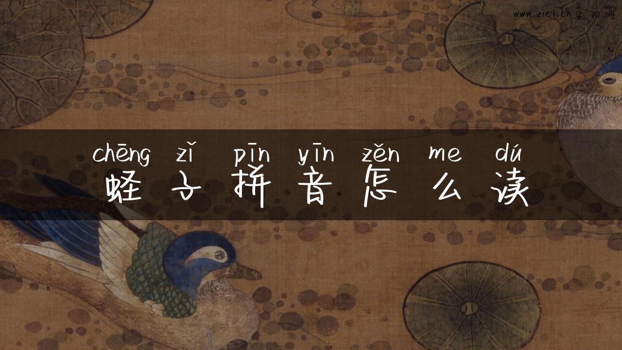 蛏子拼音怎么读