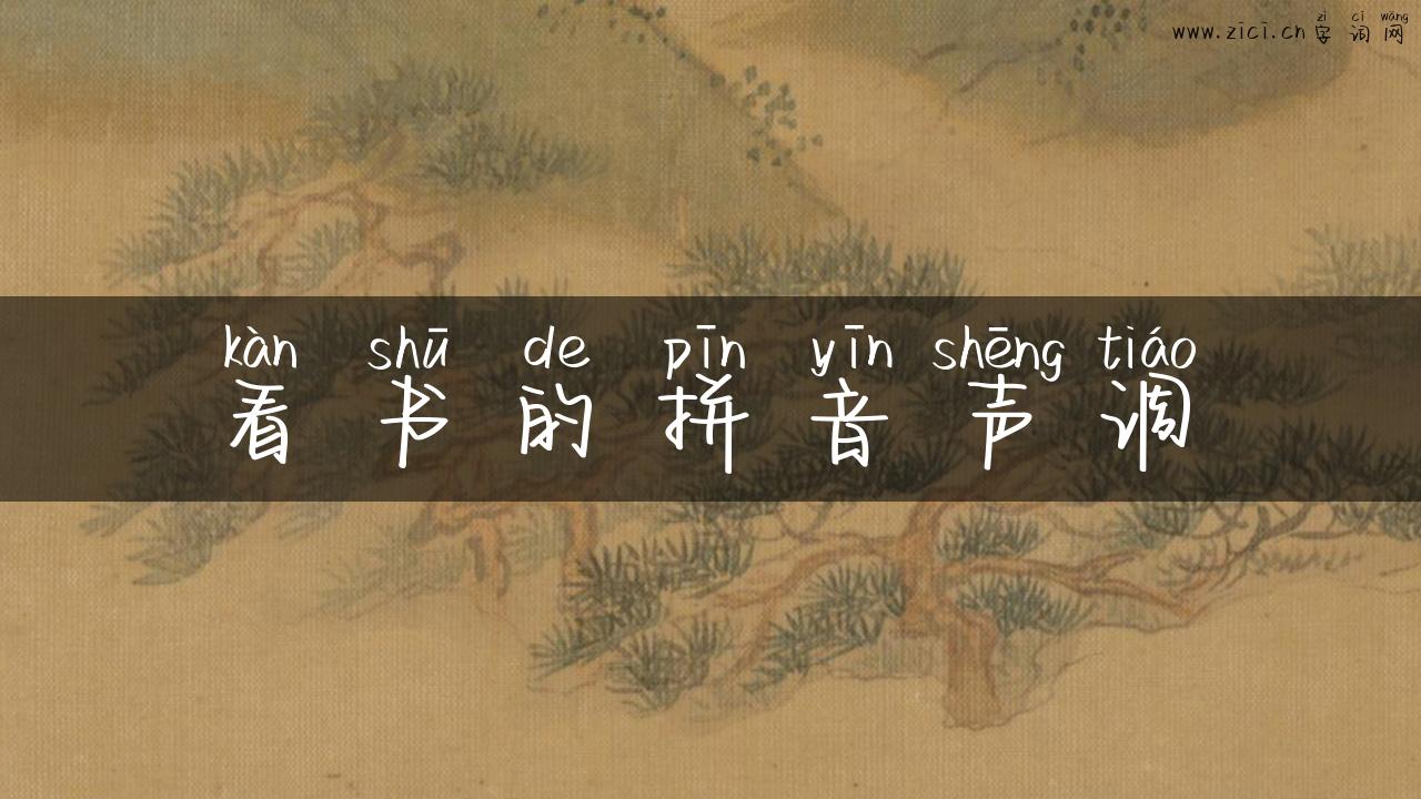 看书的拼音声调