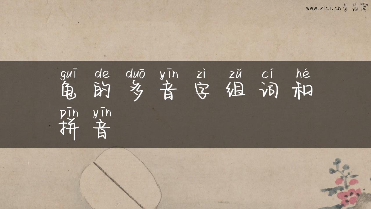 龟的多音字组词和拼音