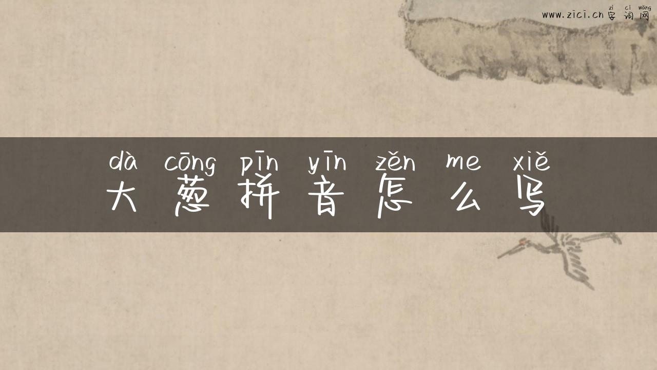 大葱拼音怎么写