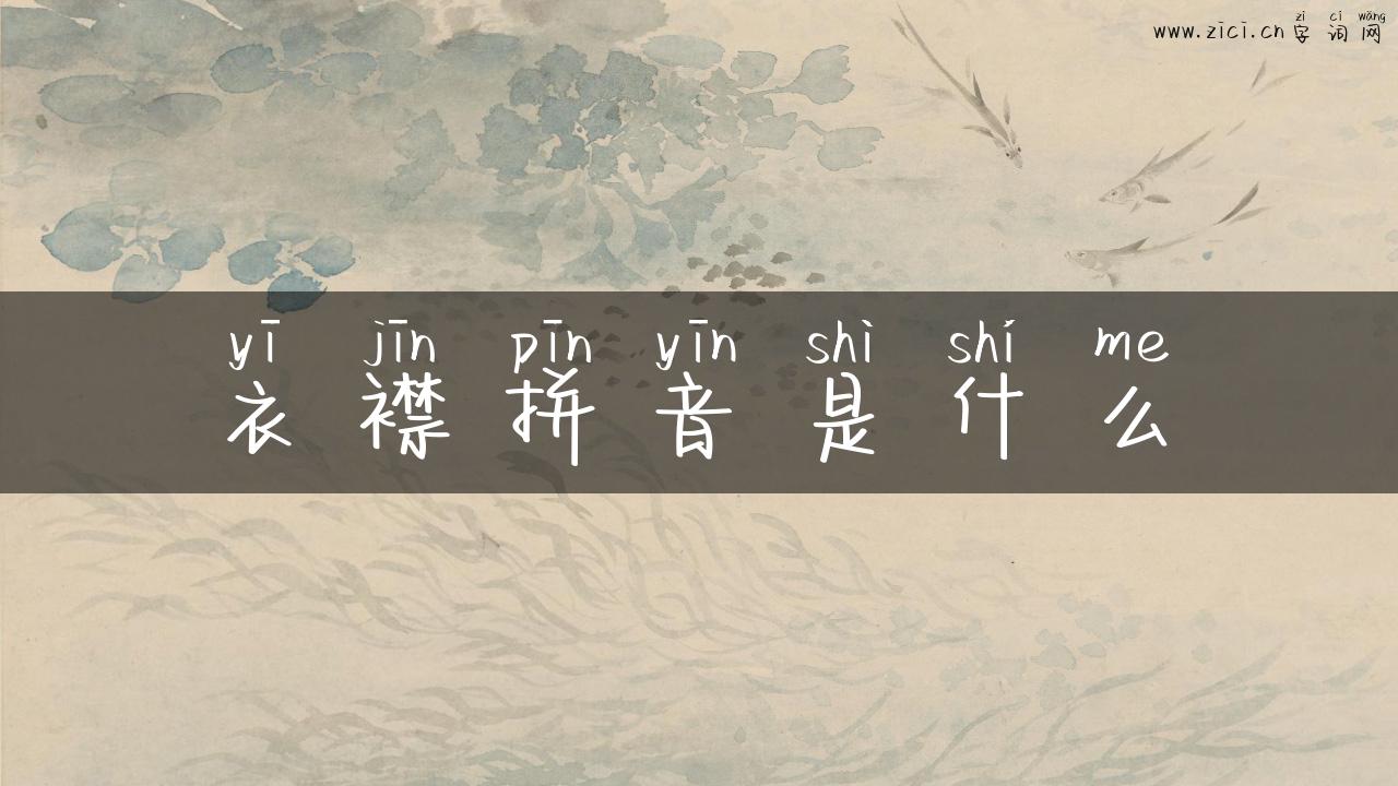 衣襟拼音是什么