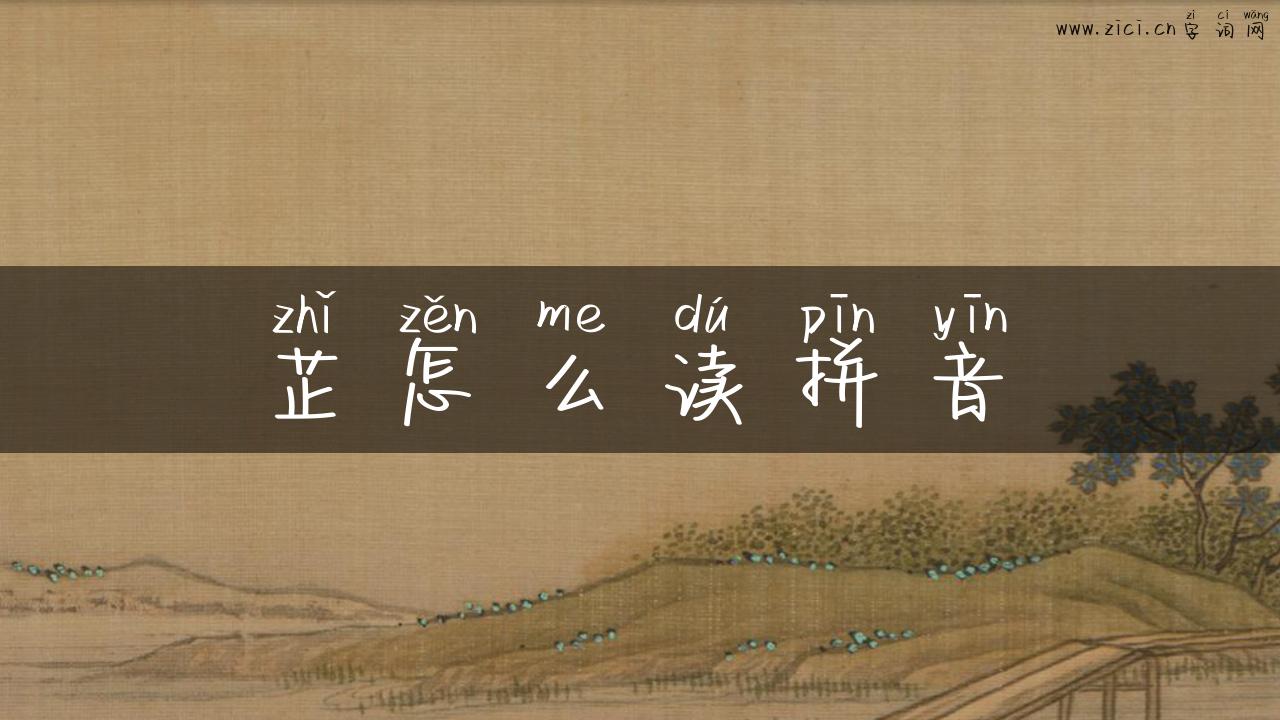 芷怎么读拼音