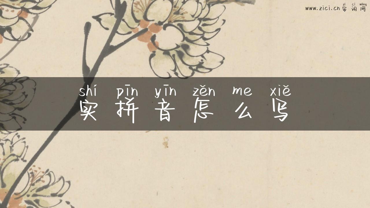 实拼音怎么写