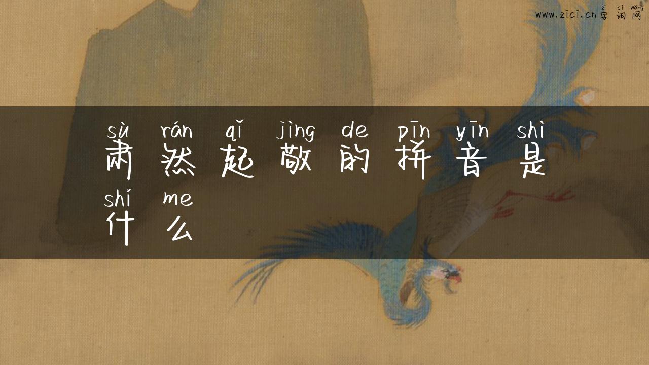 肃然起敬的拼音是什么