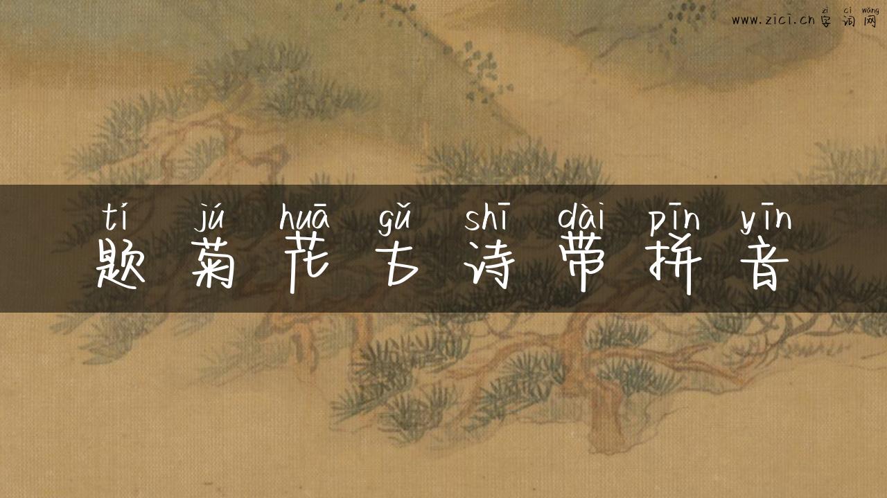 题菊花古诗带拼音