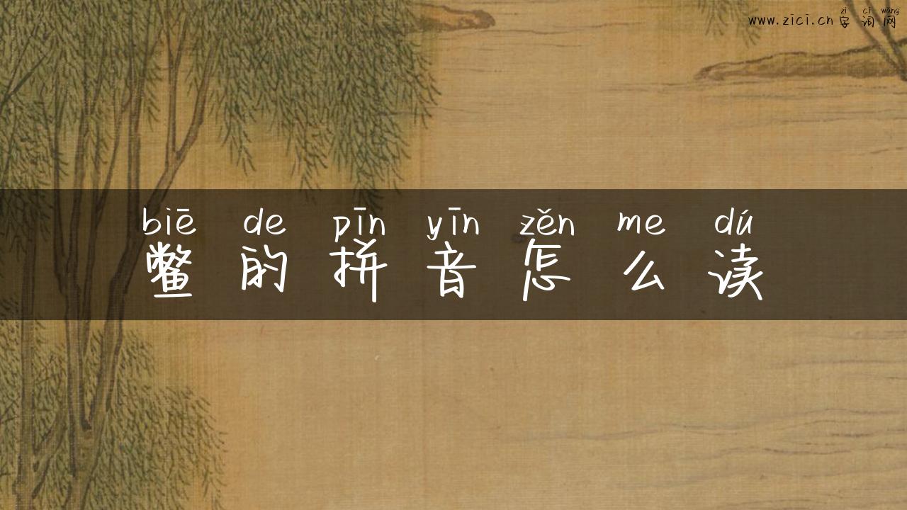 鳖的拼音怎么读