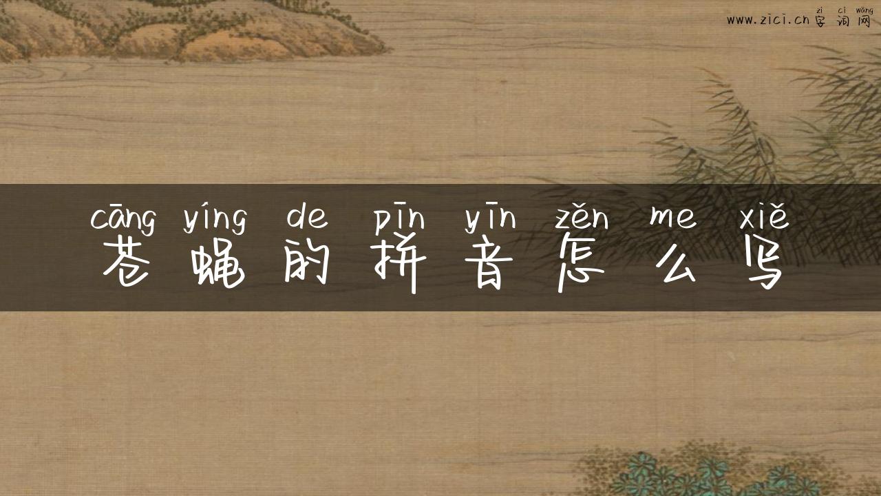 苍蝇的拼音怎么写