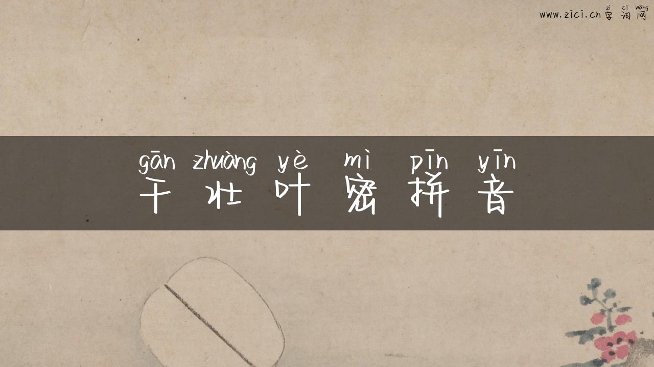 干壮叶密拼音