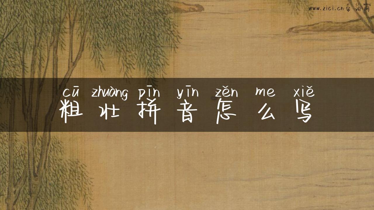 粗壮拼音怎么写