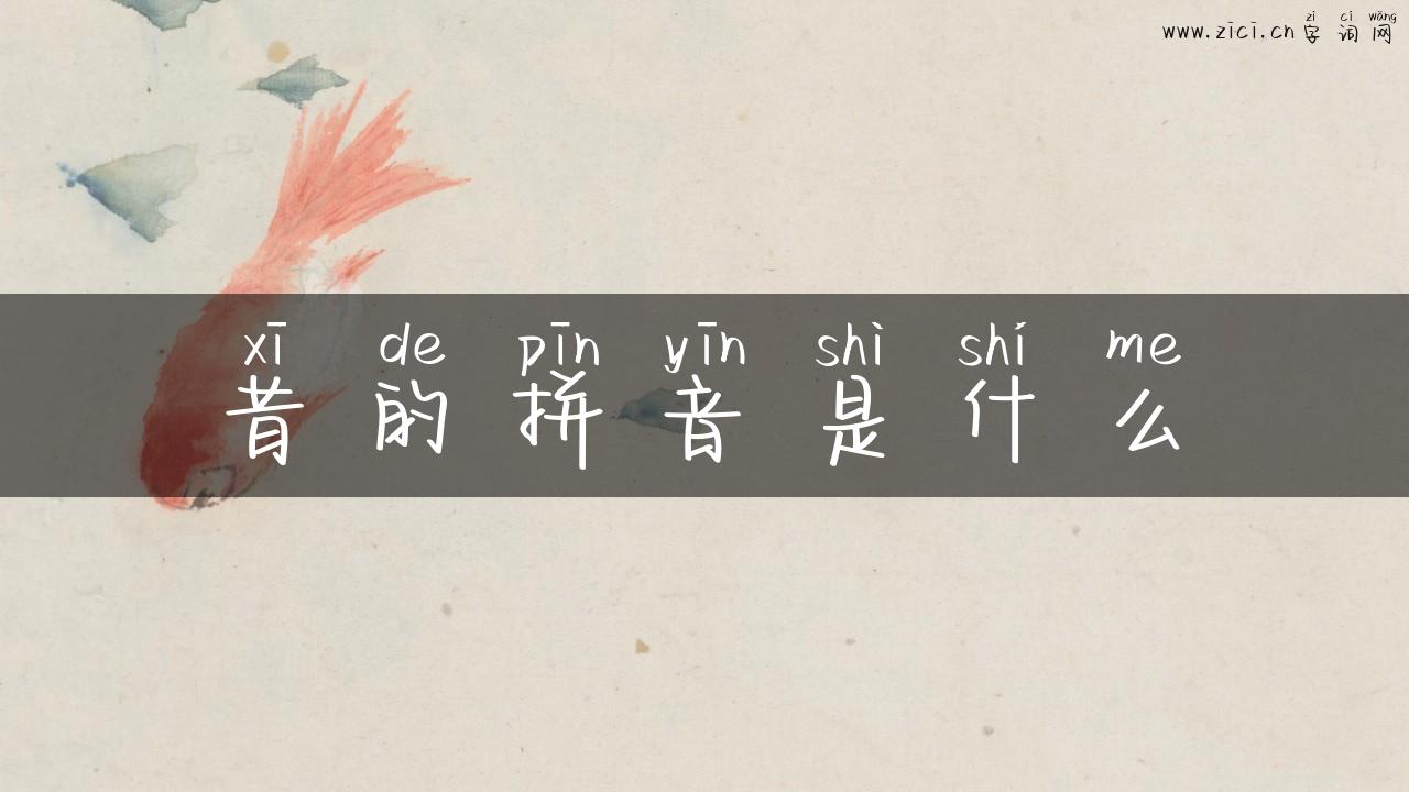 昔的拼音是什么