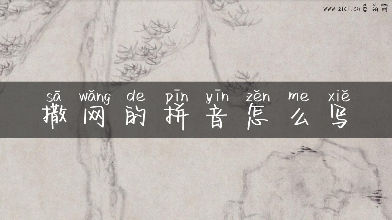 撒网的拼音怎么写