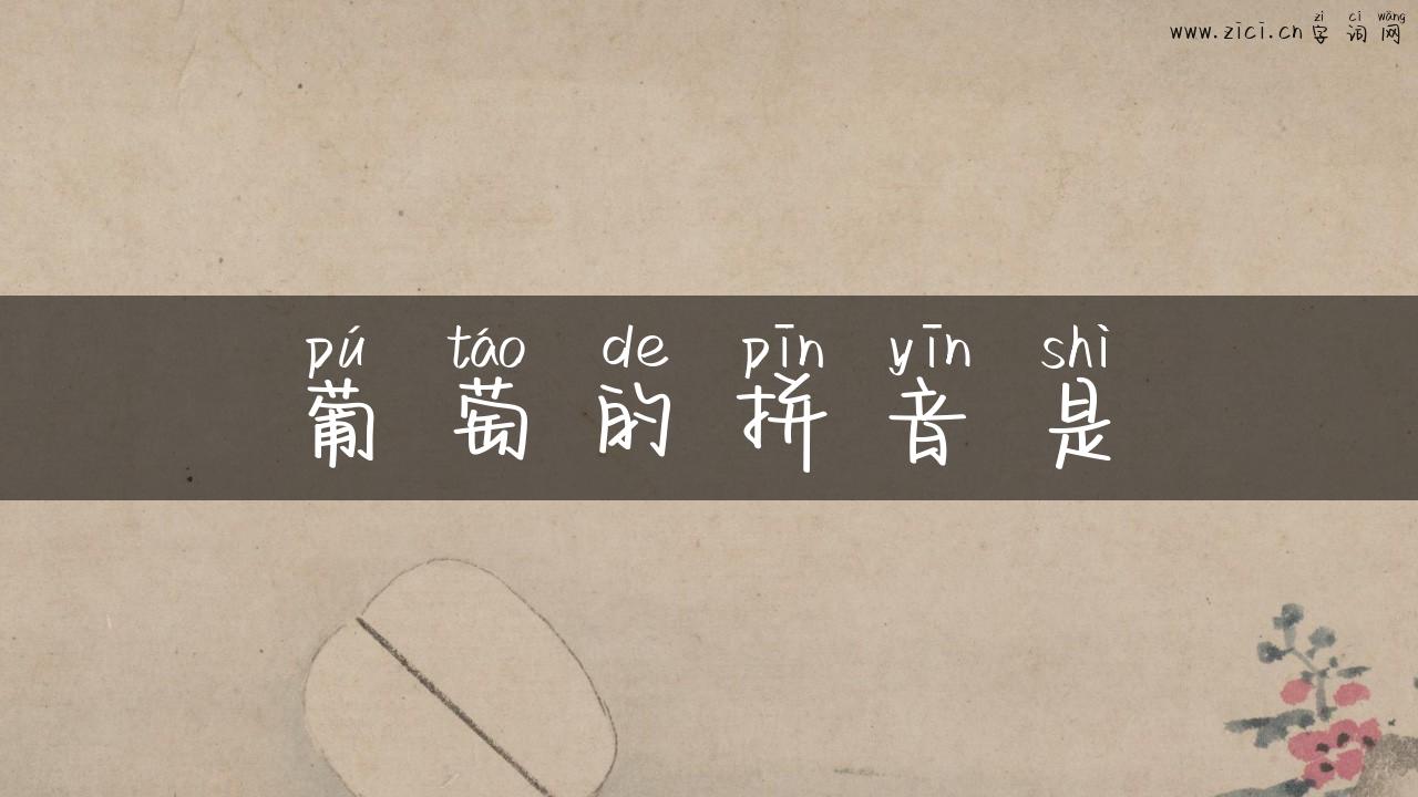 葡萄的拼音是