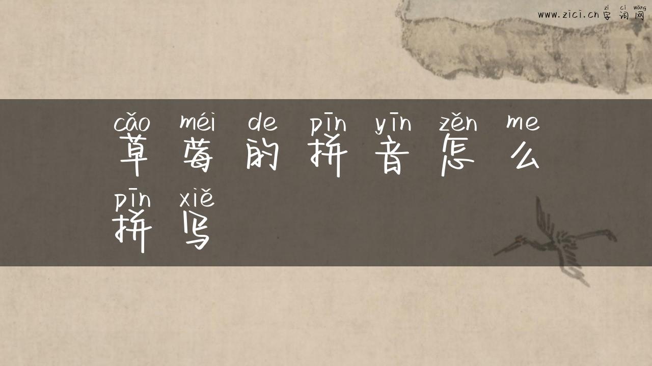 草莓的拼音怎么拼写