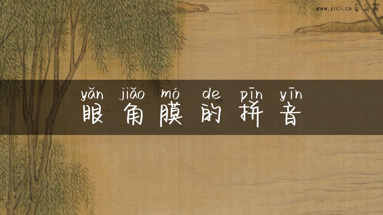 眼角膜的拼音