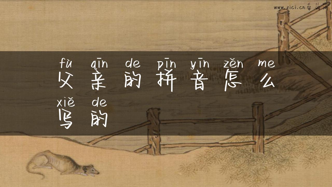 父亲的拼音怎么写的