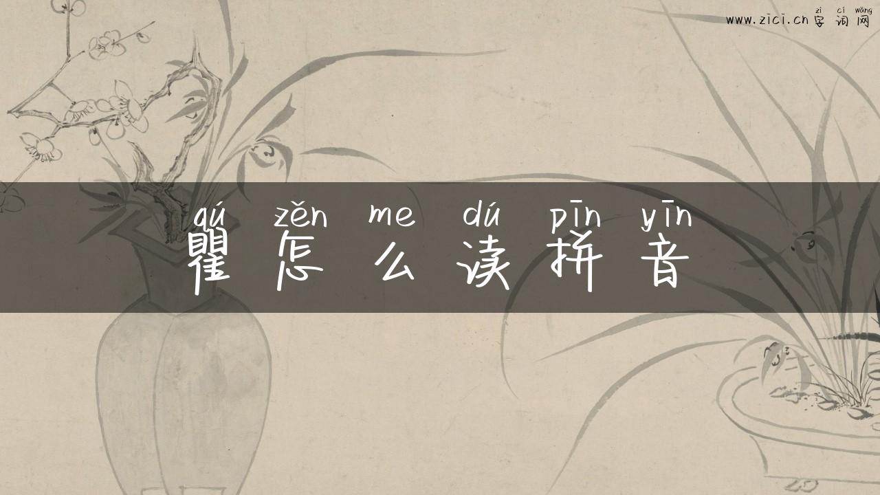 瞿怎么读拼音
