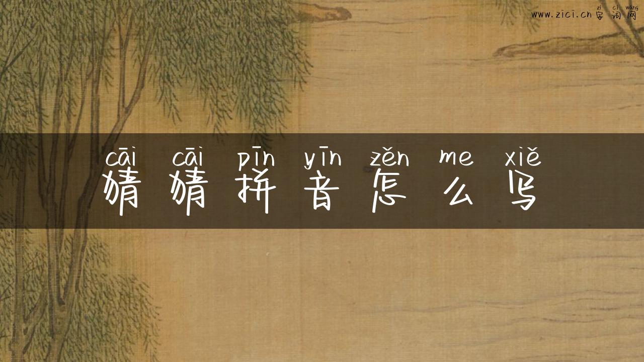 猜猜拼音怎么写