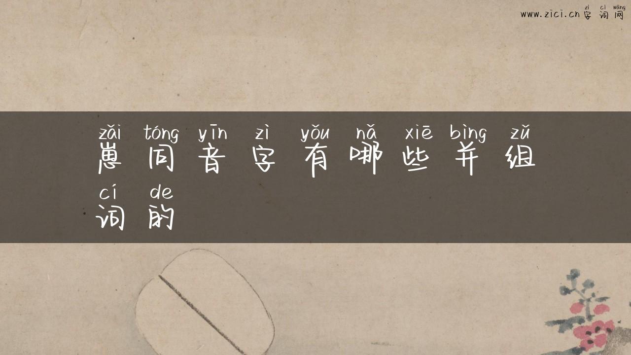 崽同音字有哪些并组词的