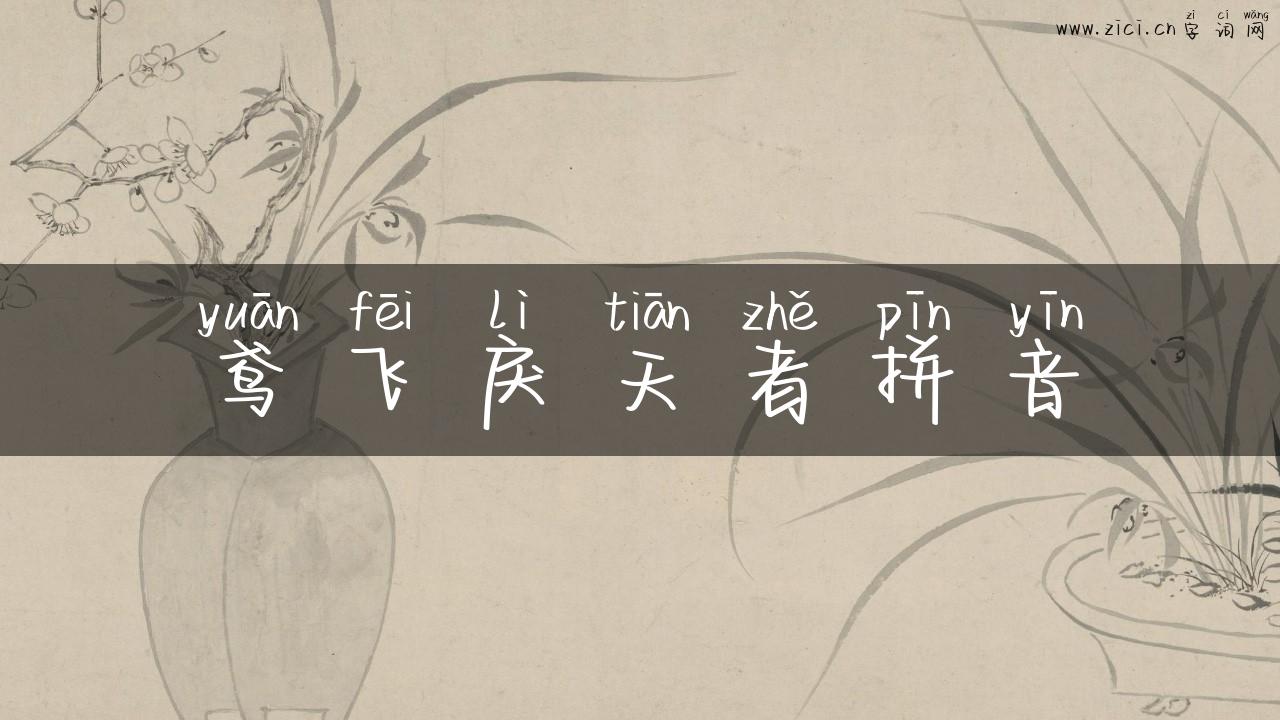 鸢飞戾天者拼音