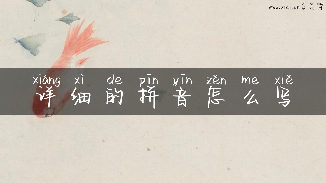 详细的拼音怎么写