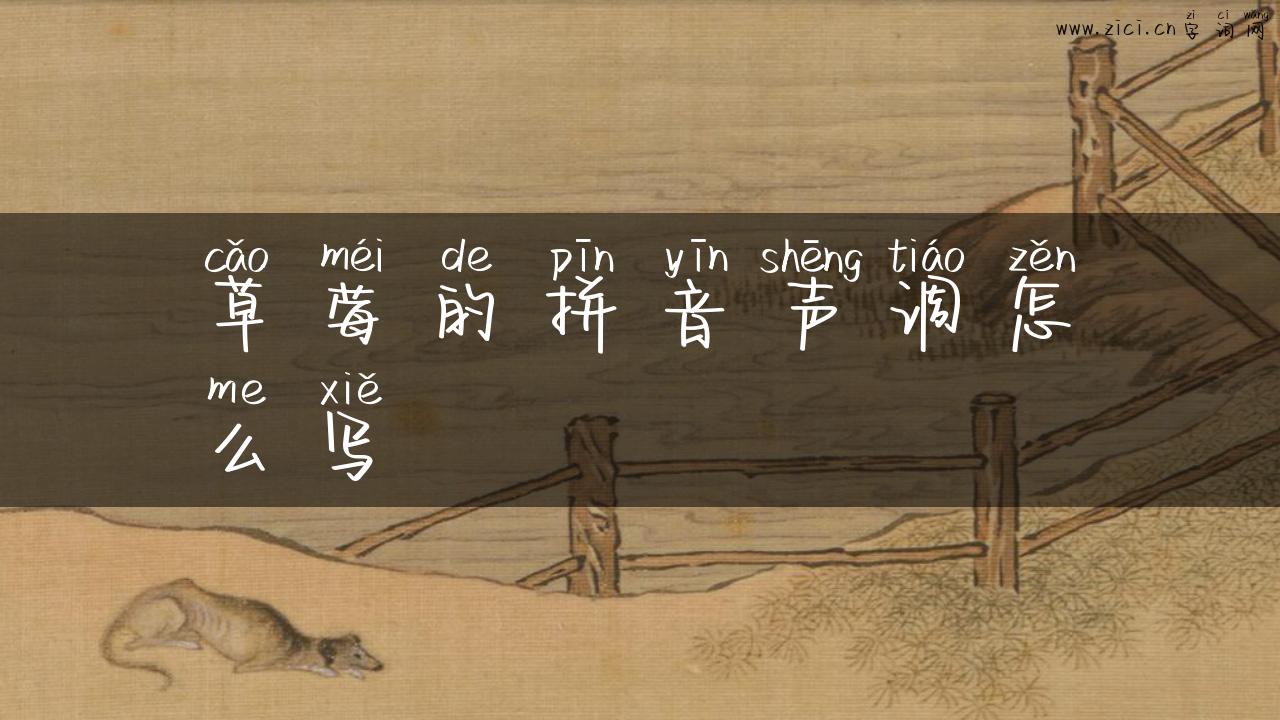 草莓的拼音声调怎么写