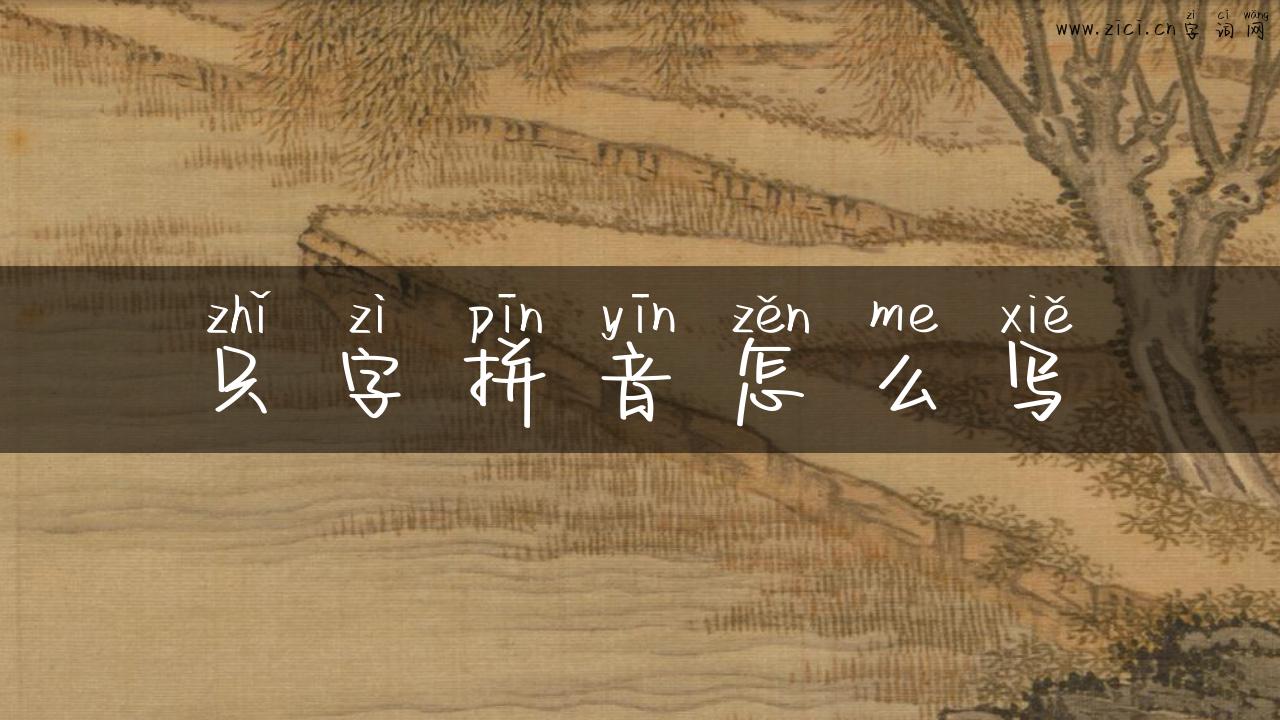 只字拼音怎么写
