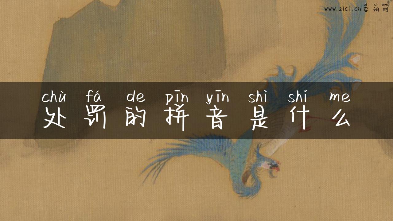 处罚的拼音是什么