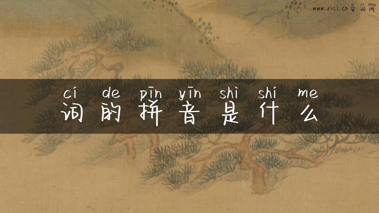 词的拼音是什么