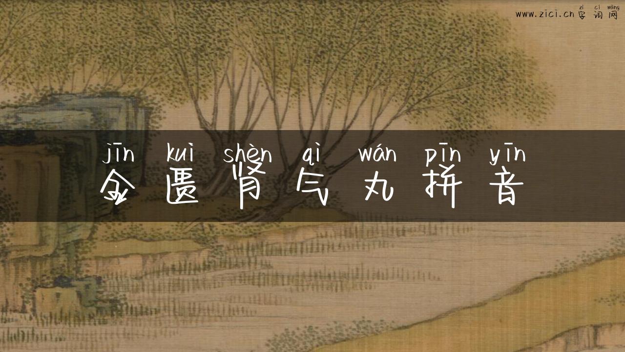 金匮肾气丸拼音