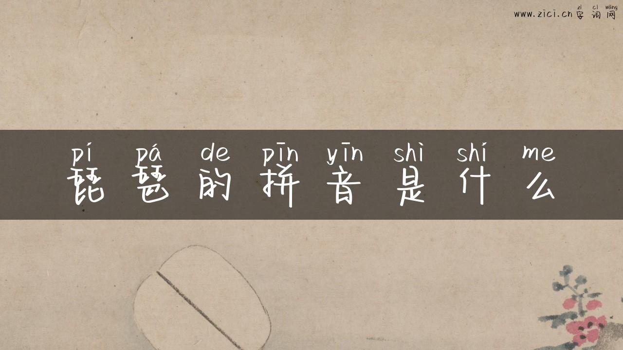 琵琶的拼音是什么