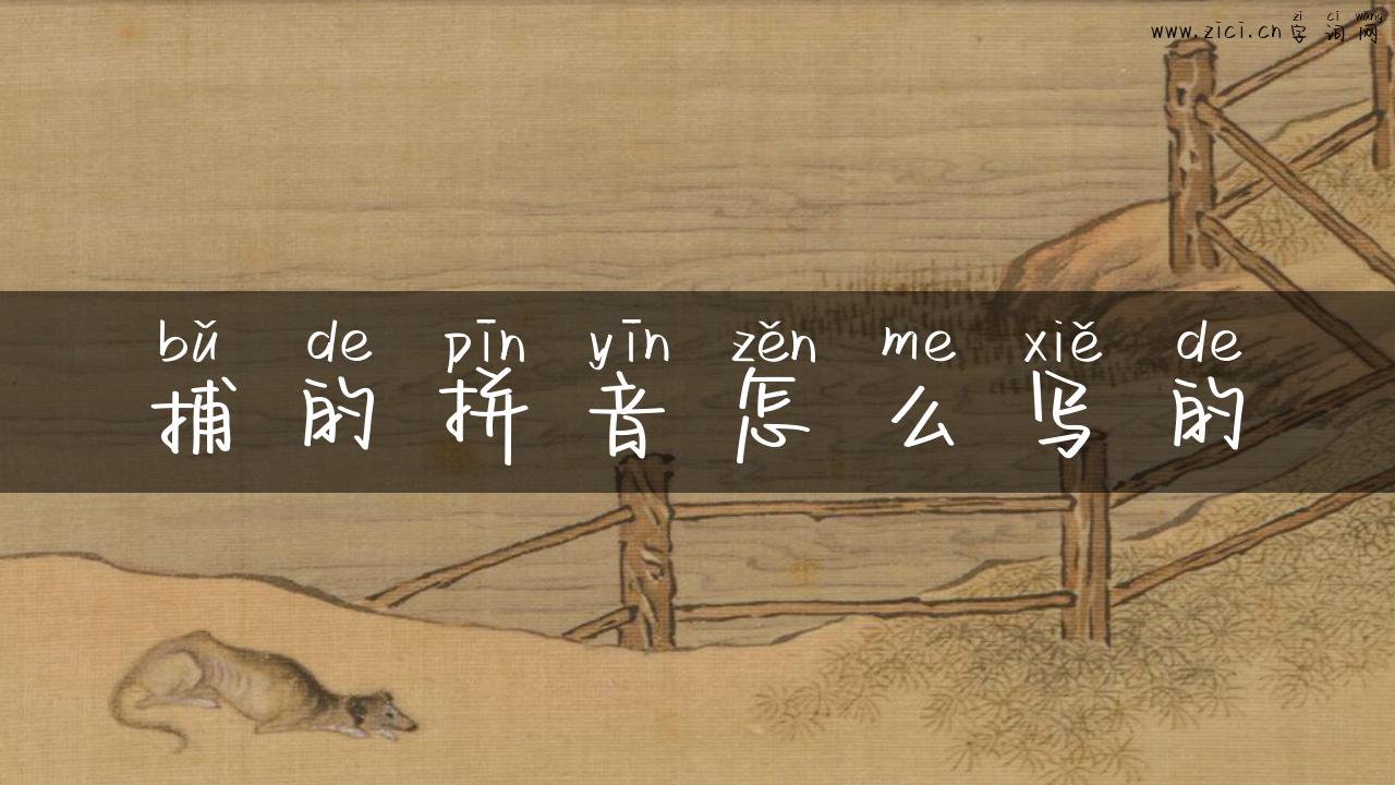 捕的拼音怎么写的