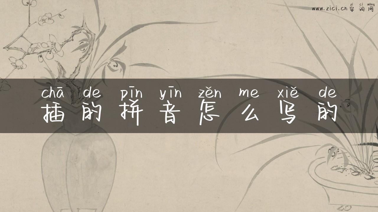插的拼音怎么写的